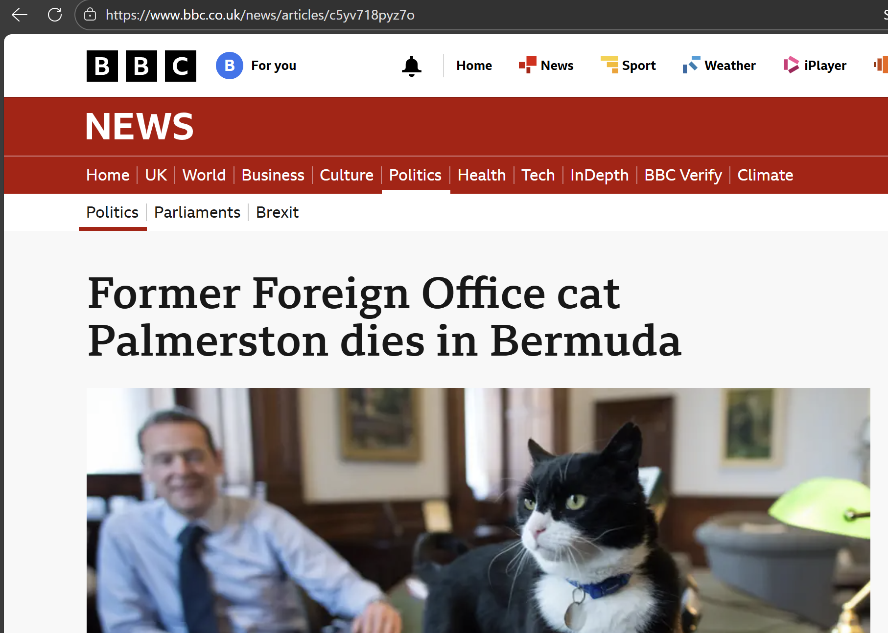 BBC News - death of Palmerston the cat